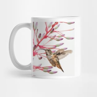 Young Allen's Hummingbird Mug